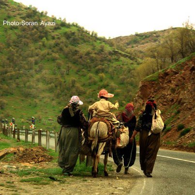 بحث کردستان ادامه دارد
