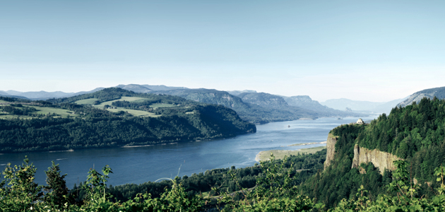 تعصب قبیله ای و شعور شهروندی