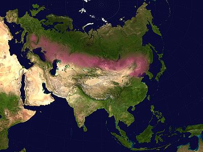 نفوذ و گسترش ترکی
