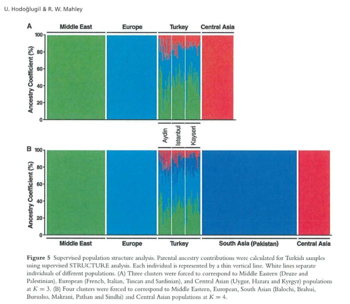حوض دی ان ای مردم آناتولی (استانبول، قیصری، آیدین) بنا به هودوغلوگیل، 2012: سبز: خاورمیانه، آبی: مدیترانه و اروپا، آبی تند: آسیای جنوب غربی، سرخ: آسیای میانه