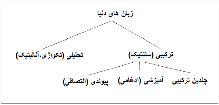 طیقه بندی زبان های دنیا بر پایه ترکیب پذیری واژگان