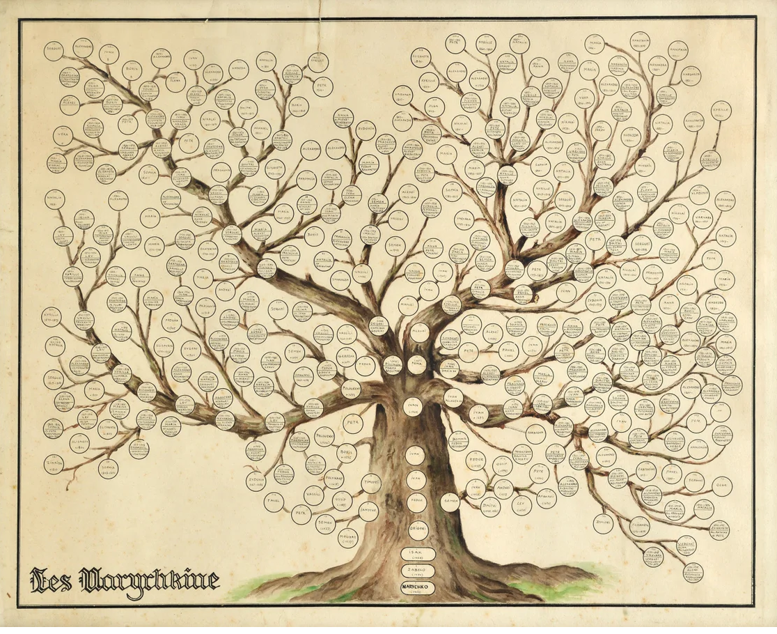 اعضای یک پیکر، همه ز یک گوهر