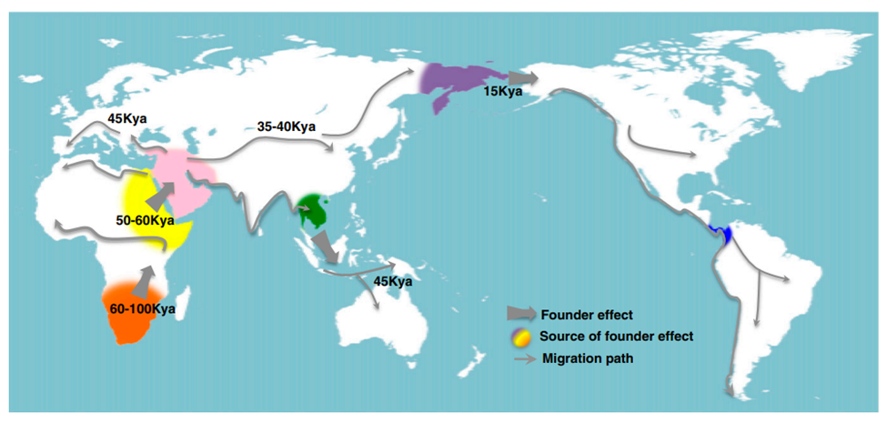 «ریشه های همه ما از آفریقاست»